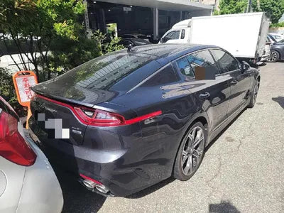 2019 Kia Stinger KNAE751CDKS058777 VIN:KNAE751CDKS058777