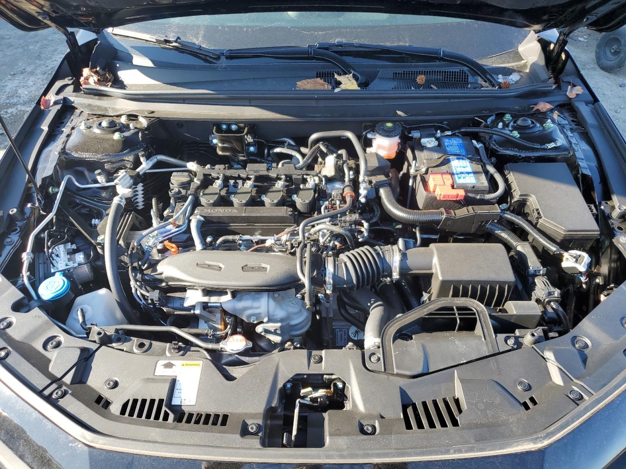 2024 HONDA ACCORD EX VIN:1HGCY1F35RA091692