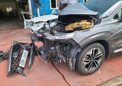 2019 Hyundai Santa FE KMHS281BBKU139725 VIN:KMHS281BBKU139725