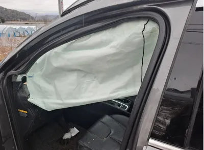 2020 Hyundai Santa FE KMHS381ABLU249880 VIN:KMHS381ABLU249880