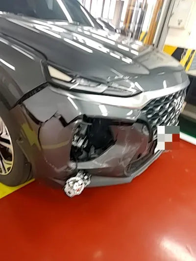 2019 Hyundai Santa FE KMHS281CBKU107302 VIN:KMHS281CBKU107302