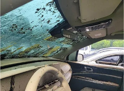 2021 Kia Carnival KNANE813BMS077926 VIN:KNANE813BMS077926