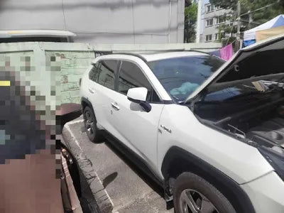 2019 Toyota RAV4 VIN: