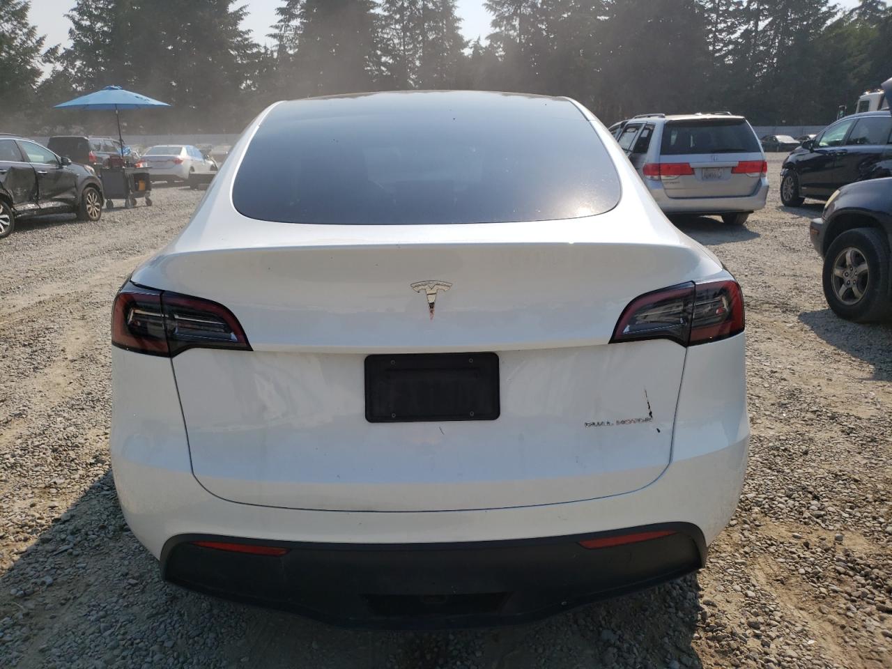 2023 TESLA MODEL Y  VIN:7SAYGDEE2PF626450