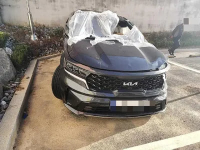 2023 Kia Sorento KNARL81GBPA179984 VIN:KNARL81GBPA179984