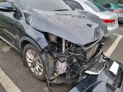 2017 Kia Sorento KNAPS81BBJA405834 VIN:KNAPS81BBJA405834