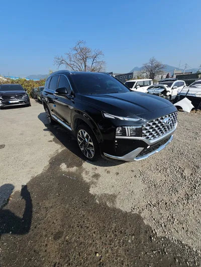2021 Hyundai Santa FE KMHS381HGMU312915 VIN:KMHS381HGMU312915
