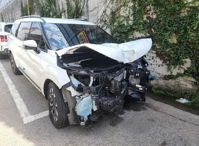 2021 Kia Carnival KNANE81BBMS067853 VIN:KNANE81BBMS067853
