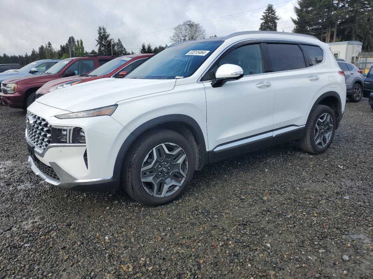2023 HYUNDAI SANTA FE LIMITED VIN:5NMS4DAL8PH649018