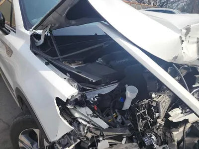 2021 Kia Sorento KNARF81GDMA045087 VIN:KNARF81GDMA045087