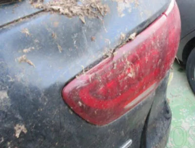 2020 Kia Sorento KNAPG81ABLA554202 VIN:KNAPG81ABLA554202