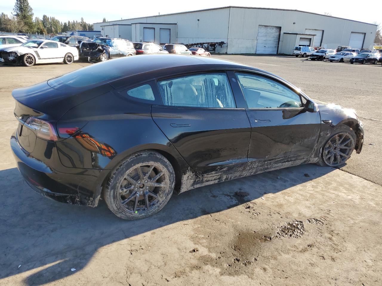 2023 TESLA MODEL 3  VIN:5YJ3E1EA3PF397737