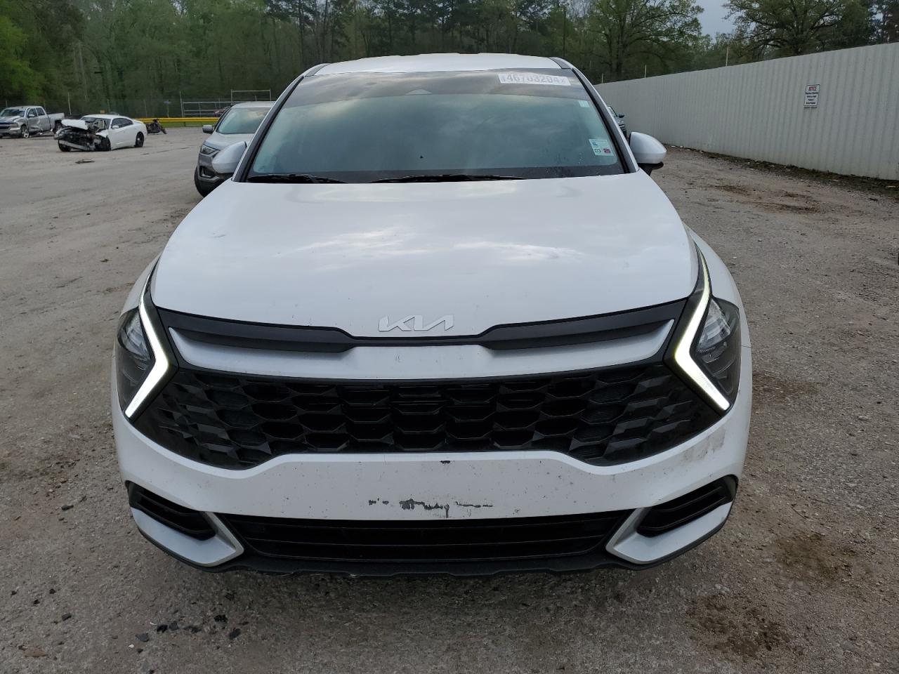 2023 KIA SPORTAGE EX VIN:5XYK33AFXPG102415