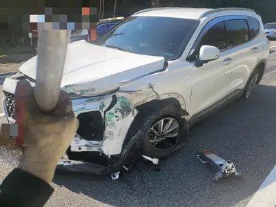 2019 Hyundai Santa FE KMHS281CDKU167493 VIN:KMHS281CDKU167493