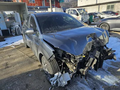 2020 Hyundai Kona KMHK381EGLU009425 VIN:KMHK381EGLU009425