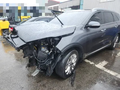 2019 Kia Sorento KNAPS81BBKA545743 VIN:KNAPS81BBKA545743