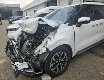2021 Kia Carnival KNANC81BBMS017347 VIN:KNANC81BBMS017347