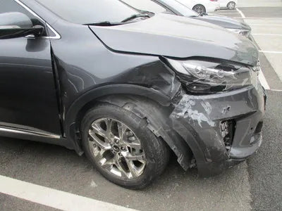 2019 Kia Sorento KNAPH81BBLA599043 VIN:KNAPH81BBLA599043