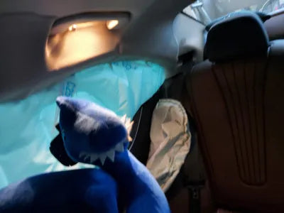 2020 Mercedes-Benz CLS 450 W1K2J5KB9MA081684 VIN:W1K2J5KB9MA081684