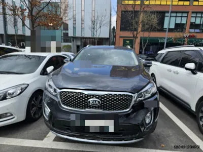 2016 Kia Sorento KNAPS81ABGA263117 VIN:KNAPS81ABGA263117