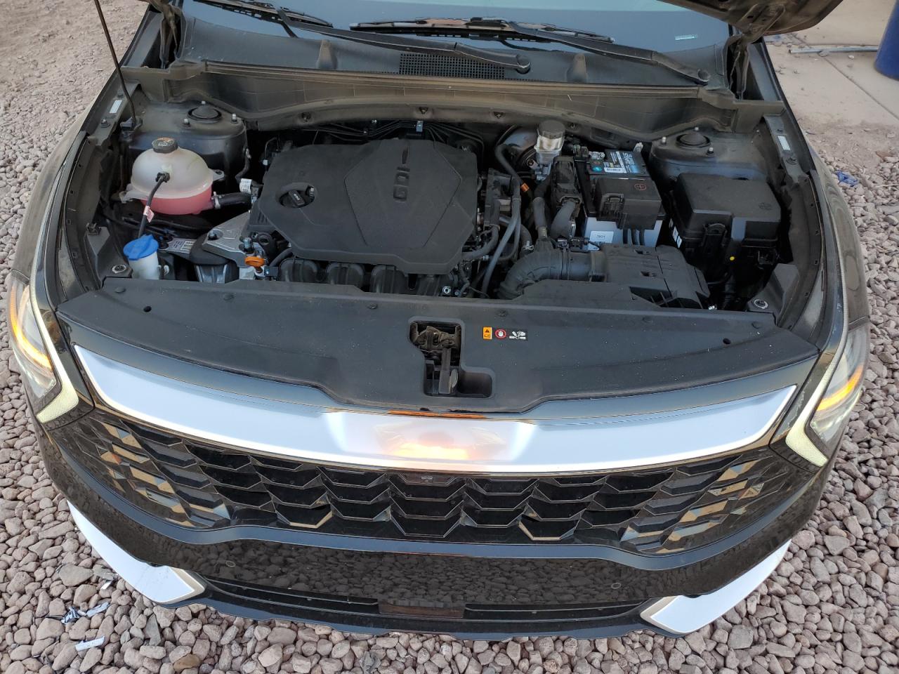 2023 KIA SPORTAGE SX PRESTIGE VIN:5XYK53AF3PG013960
