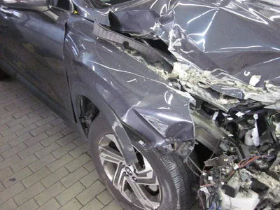 2020 Hyundai Santa FE KMHS381HGMU333983 VIN:KMHS381HGMU333983