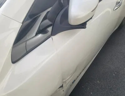 2019 Nissan Leaf VIN:
