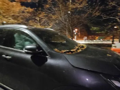 2019 Kia Sorento VIN: