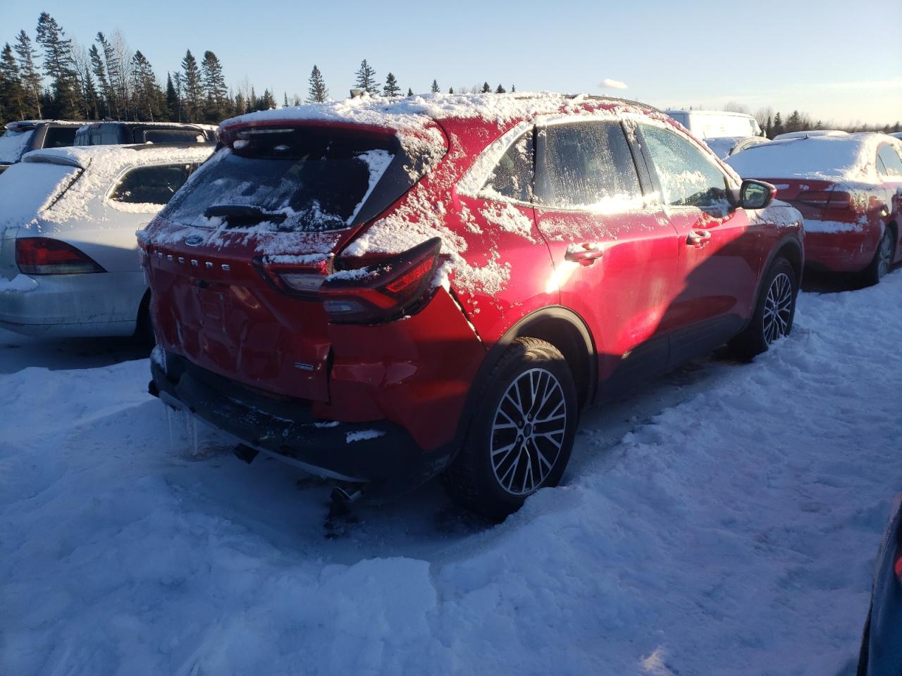 2024 FORD ESCAPE  VIN:1FMCU0E18RUB14879