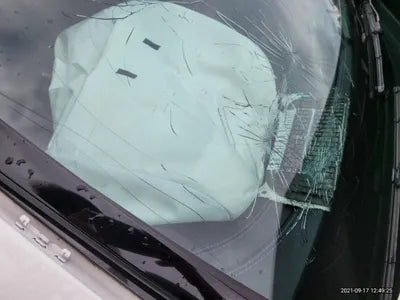 2020 Mercedes-Benz E 220 WDDZF0FB1LA754219 VIN:WDDZF0FB1LA754219