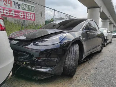 2020 Tesla Model 3 5YJ3E1EA8LF629890 VIN:5YJ3E1EA8LF629890