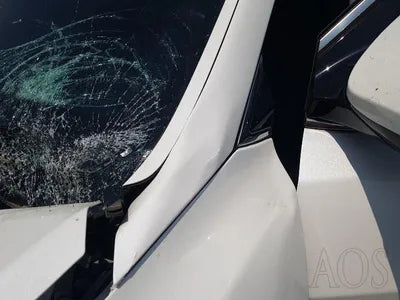 2016 Hyundai Santa FE KMHSW81UBGU635539 VIN:KMHSW81UBGU635539