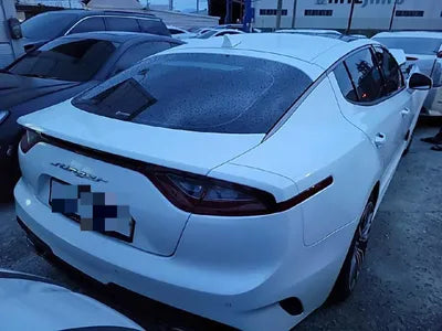 2019 Kia Stinger KNAE351ABKS058699 VIN:KNAE351ABKS058699