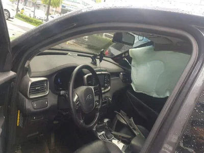 2017 Kia Sorento KNAPG81ABJA383959 VIN:KNAPG81ABJA383959