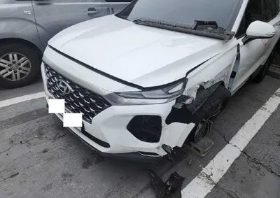2019 Hyundai Santa FE KMHS381BBKU157042 VIN:KMHS381BBKU157042