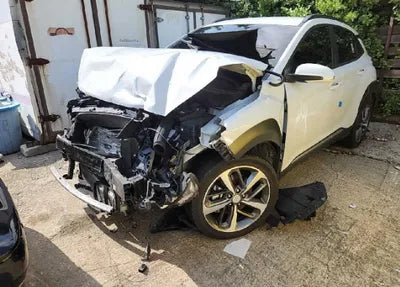 2019 Hyundai Kona KMHK7815GKU427643 VIN:KMHK7815GKU427643