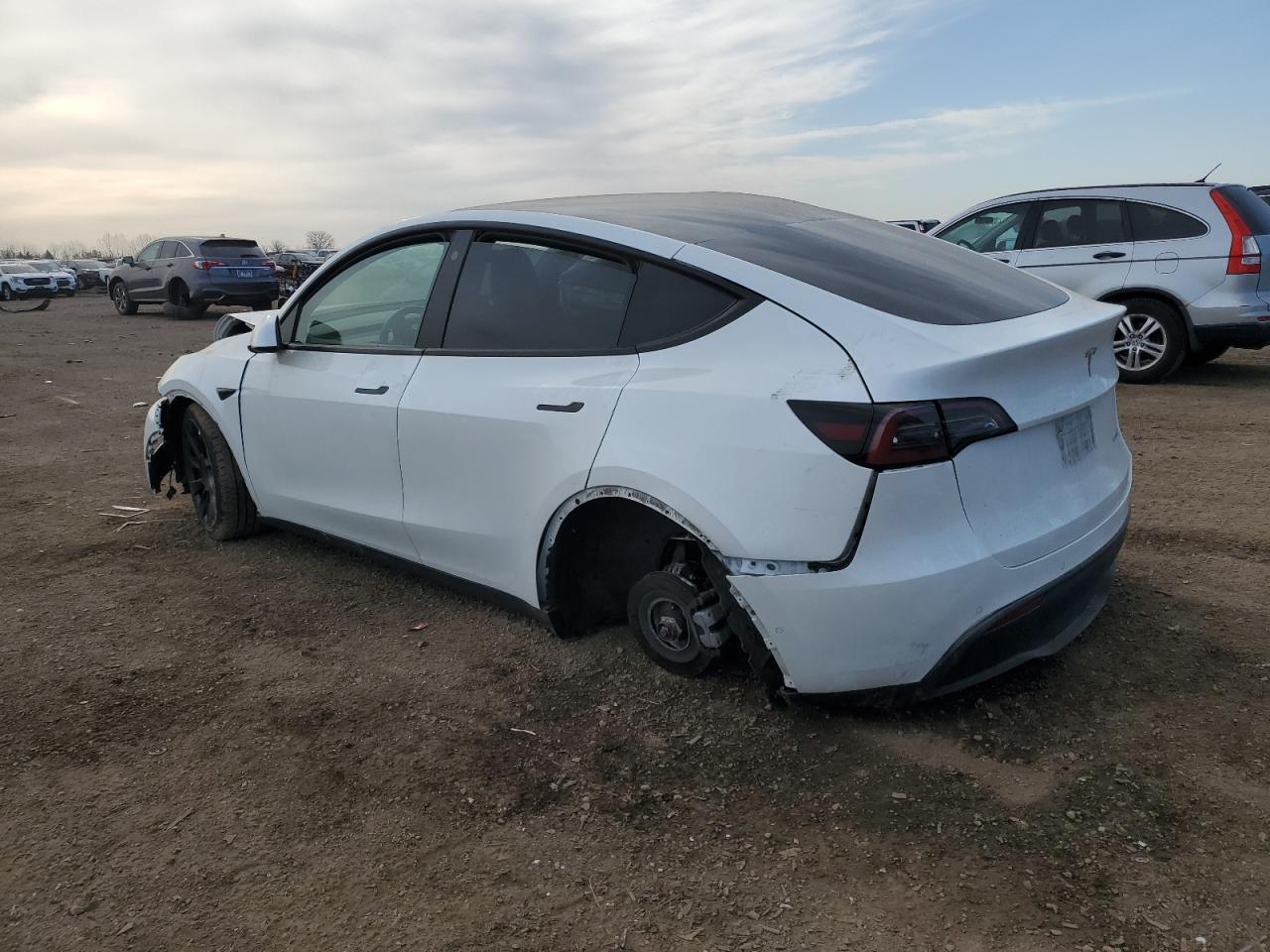 2022 TESLA MODEL Y  VIN:7SAYGAEE1NF540574