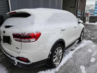 2016 Kia Sorento KNAPH81ABGA216735 VIN:KNAPH81ABGA216735