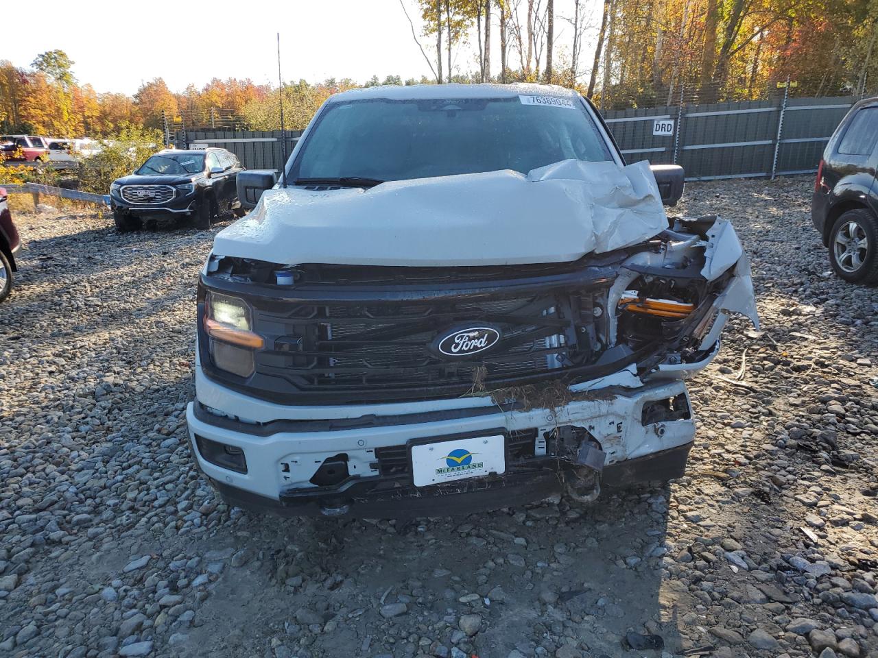 2024 FORD F150 XLT VIN:1FTFW3L51RKE37881