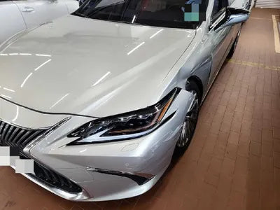 2019 Lexus ES 300 VIN: