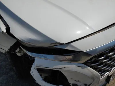 2019 Hyundai Santa FE KMHS581ABLU226176 VIN:KMHS581ABLU226176