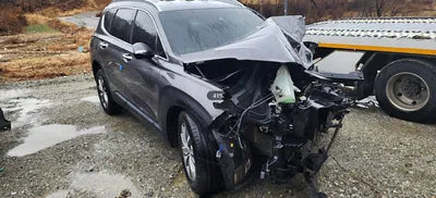 2019 Hyundai Santa FE KMHS281CBKU047573 VIN:KMHS281CBKU047573