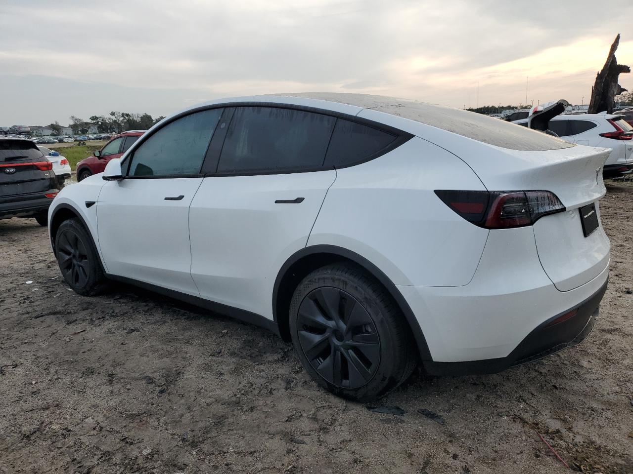 2024 TESLA MODEL Y  VIN:7SAYGDEDXRF129365