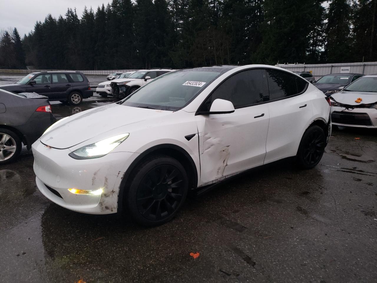 2023 TESLA MODEL Y  VIN:7SAYGAEE4PF599993