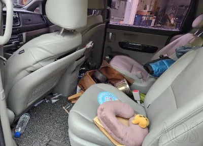 2017 Kia Carnival KNAMC81ABHS259848 VIN:KNAMC81ABHS259848