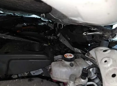 2019 Toyota RAV4 VIN: