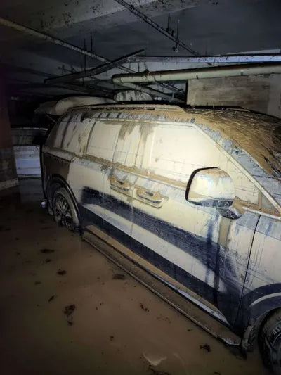 2021 Kia Carnival KNHNB37BBMS049575 VIN:KNHNB37BBMS049575