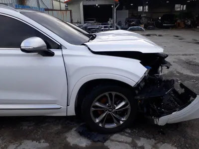 2019 Hyundai Santa FE KMHS581CDLU237680 VIN:KMHS581CDLU237680