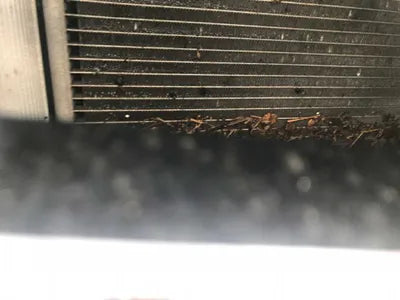 2020 Mercedes-Benz S 560 W1KUG8GB9LA528952 VIN:W1KUG8GB9LA528952