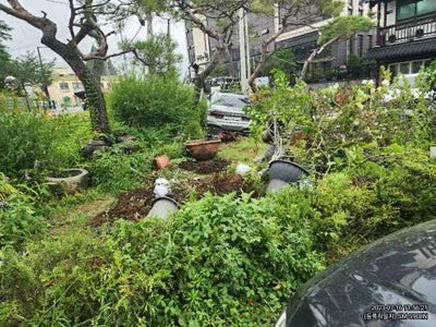 2020 BMW 740 WBA7T410XLCE40015 VIN:WBA7T410XLCE40015